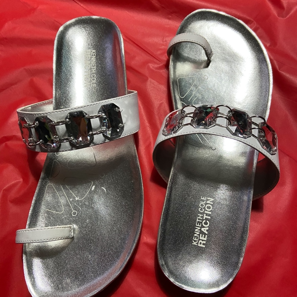 Silver Slides - Picture 2 of 3